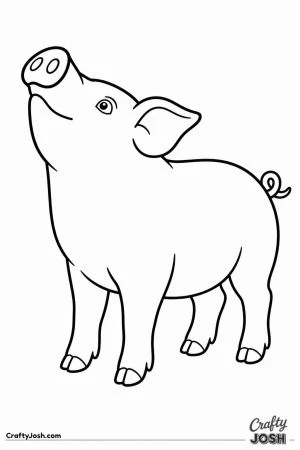 Pig sniffing the air with its snout up