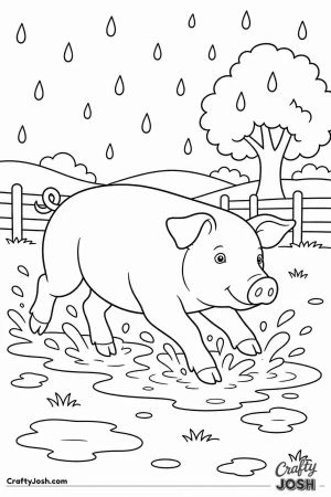 Pig splashing in rain puddles