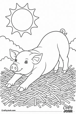 Pig sunbathing in the straw