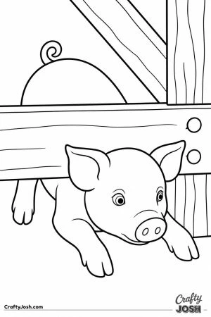 Piglet squeezing under a gate