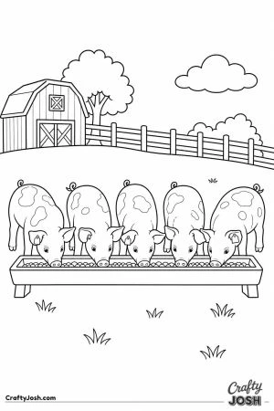 Piglets lined up at the trough