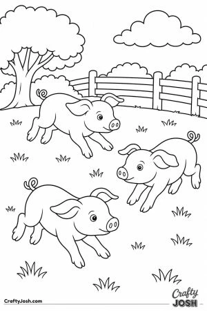 Piglets racing around the field