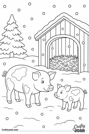 Pigs in the snow by their straw shelter