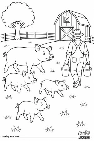 Pigs running to meet the farmer at dinnertime