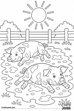 Pigs wallowing in mud on a hot day