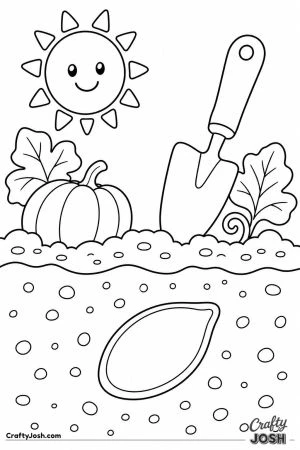 Pumpkin seed planted in the soil