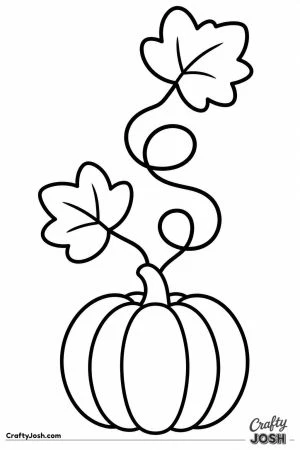Pumpkin with a long curly vine