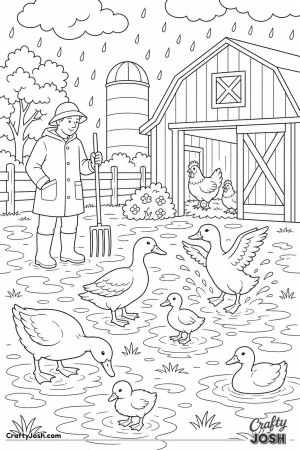 Rainy day in the farmyard with ducks