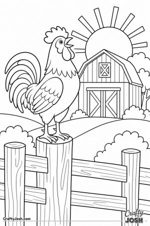 Rooster crowing on a fence at sunrise