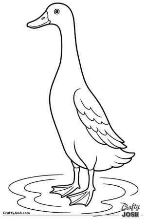 Runner duck standing tall like a bottle