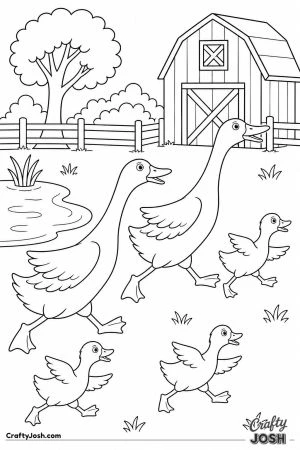 Runner ducks racing across the farmyard