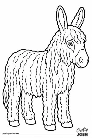 Shaggy donkey with a long curly coat