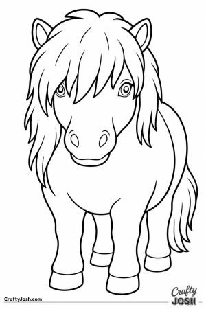 Shaggy shetland pony with a thick fringe