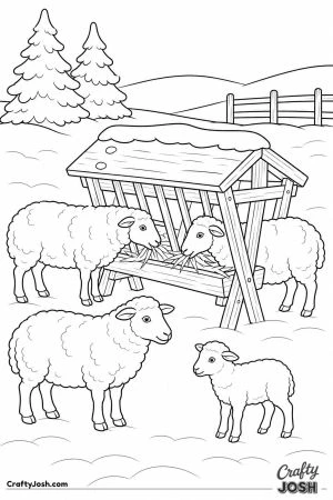 Sheep dipping their heads into a hay feeder
