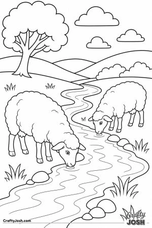 Sheep drinking from a stream