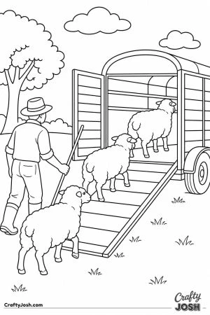 Sheep going up a ramp into a trailer