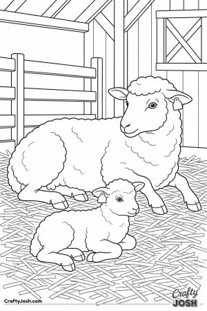 Sheep in a lambing shed with straw pens