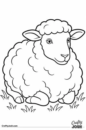 Sheep lying down in the grass