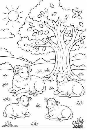 Sheep lying in the shade of a tree