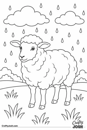 Sheep standing in the rain
