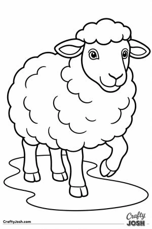 Sheep walking along a path