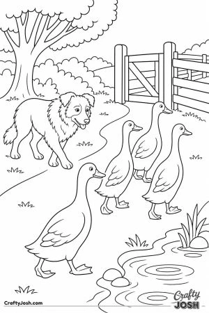 Sheepdog herding runner ducks