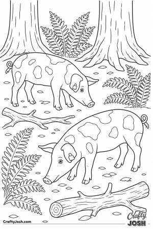 Tamworth pigs foraging in the woods